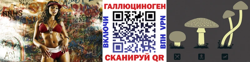 Псилоцибиновые грибы GOLDEN TEACHER  продажа наркотиков  Великий Устюг 
